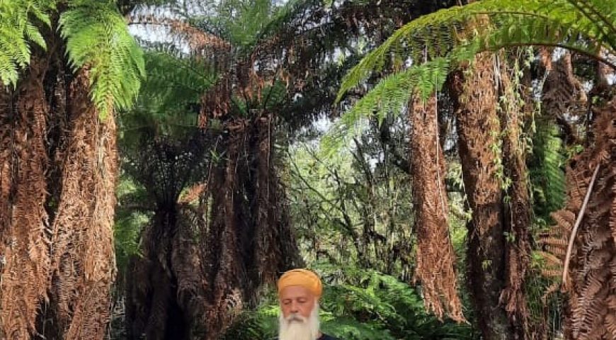 O HUMANO E A AUSÊNCIA DE MUNDO