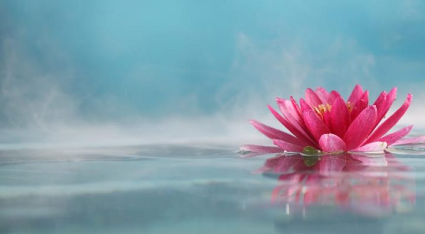 REFLEXÕES SOBRE A QUESTÃO: QUE YOGA DEVO PRATICAR ?